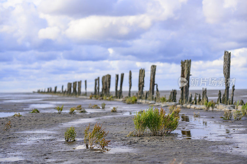 在荷兰北部的瓦登海自然保护区“de Wadden”中，古老的土地开垦柱在空旷的景观中排成一排